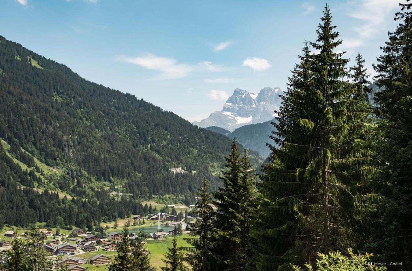 Toison Blanche Tba3 Cosy & Mountain 4 Pers Apartamento Châtel Exterior foto
